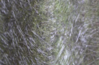 Penrhiw fibreglass roof work